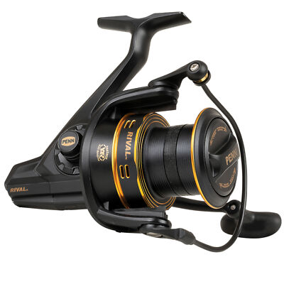Penn Rival 6000LC Longcast Gold Rolle - Angelrolle, Stationärrolle für Karpfen