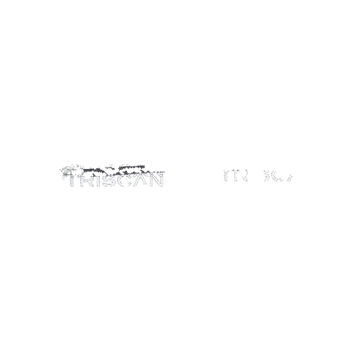 Triscan Bremsschlauch 8150 68103 Für Subaru - Bild 3