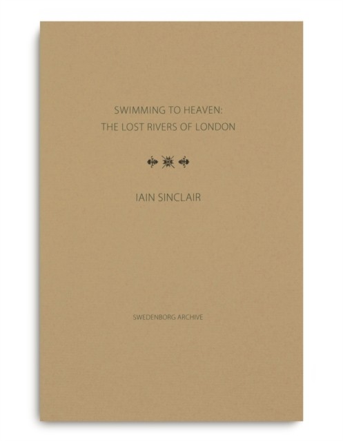 Swimming To Heaven: The Lost Rivers Of London Iain Sinclair - Image 5