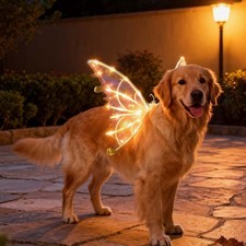 Light up Fairy Wings for Dogs, Electric Fairy Butterfly Wings with LED Lights