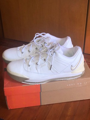 lebron 3 white