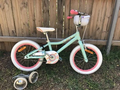 giant training wheels