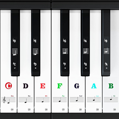 Piano Keyboard Stickers for 88/61/54/49/37 Keys Large Note Labels for Beginners