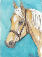 ACEO original Watercolor Art Card HORSE golden palomino Quarab (AQHA x Arabian)