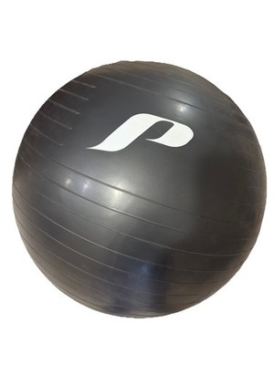 Prospirit Exercise Ball 24 Inch For Core Balance Stability Fitness Gym (No Pump)