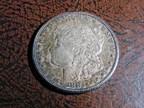 Fantastic 1881 S Morgan Dollar GREAT TONING!!!!