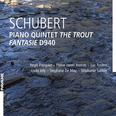 Regis Pasquier Et Al - Schubert Piano Quinet Fantasie [CD]