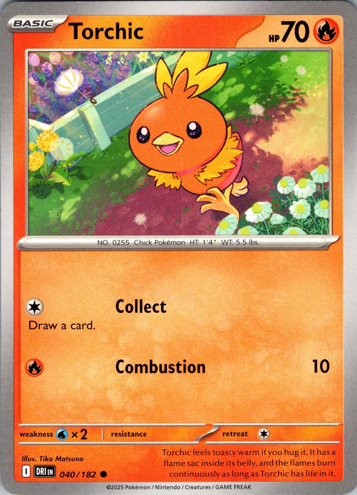 Torchic [DRI - 040/182]