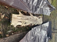 RED CEDAR WOOD SLAB- Width: 15" Length: 67" Thickness: 2 1/2" DELIVERY INCLUDED