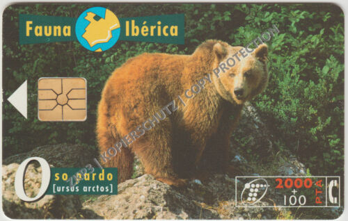 Spain 1996 | Fauna Ibérica - Oso pardo (ursus arctos / brown bear) | Phonecard - Bild 1 von 2