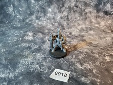 Warhammer 40k Custodes Adeptus Shield Captain TJAW2