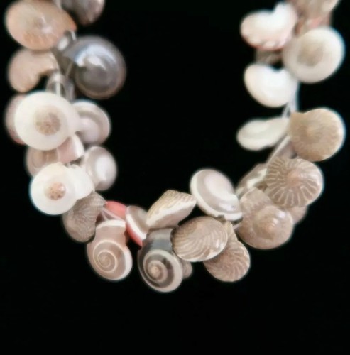 Muschel Halskette klein mehrere Muscheln Modeschmuck Strand Küste tropisch - Bild 3 von 3