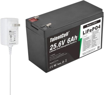 24V 6Ah LiFePO4 Battery Pack LF8011, 25.6V 153.6Wh Deep Cycle Rechargeable Lithi