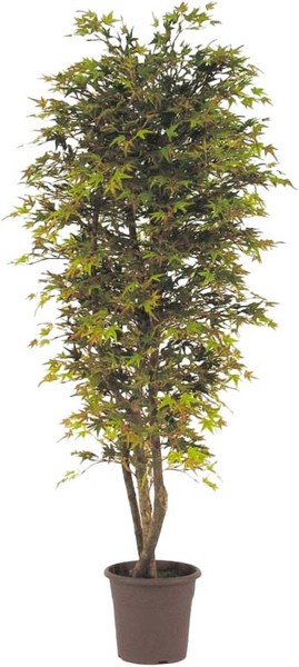 Artplants Deko Japanischer Ahornbaum Kescha, NaturstäMme, GrüN-Rot, 150Cm-image