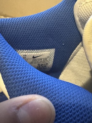 Nike High top dunks