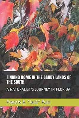FINDING HOME IN THE SANDY LAND - GOOD