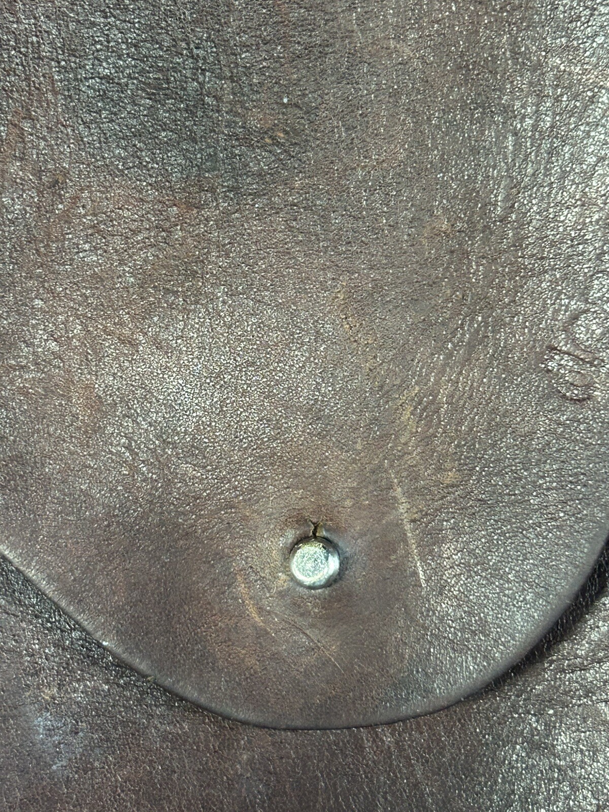 Picture 6 of 14