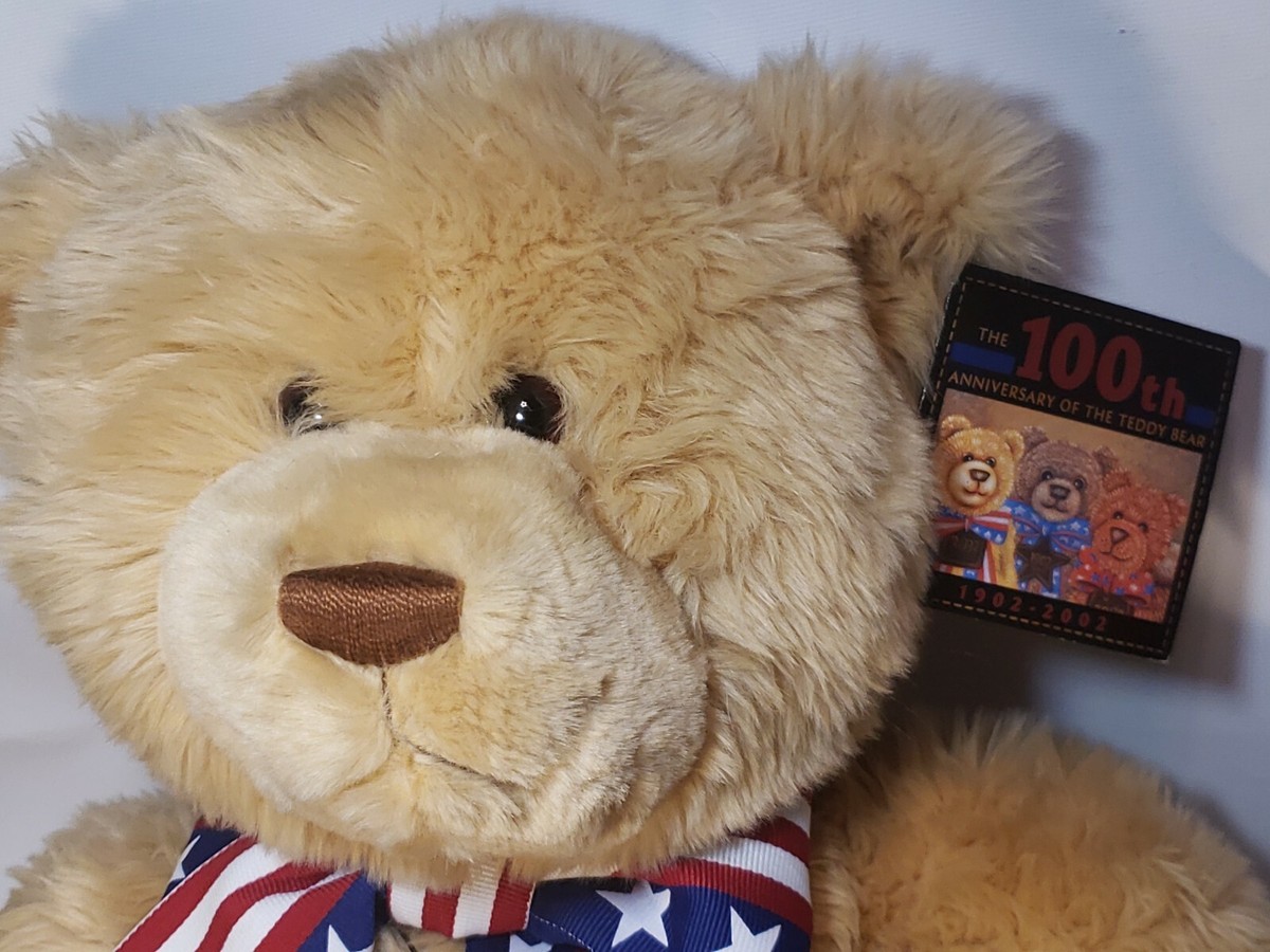 Wish Bear 2002 Teddy Bear 26