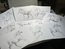Original Drawings Art Pencil Set 10 sketches Arabian horses dynamic 8”x10