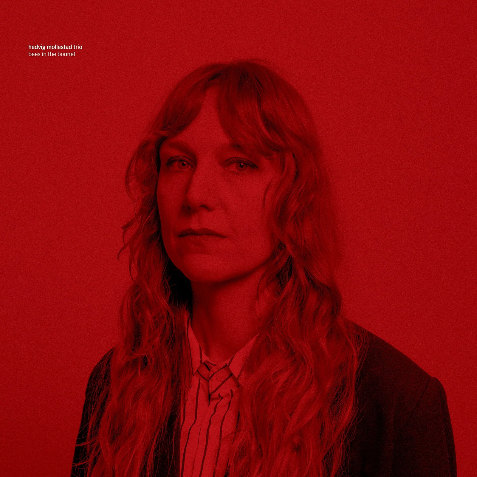 Hedvig Mollestad Trio | Bees In The Bonnet | CD