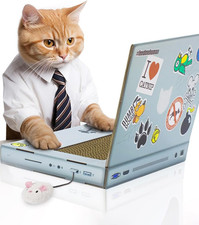 Cat Laptop Cat Scratching Board Cardboard Scratchers Scratch Pad Kitte