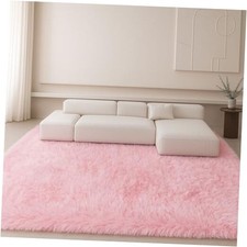 Fluffy Plush Shag Rug 5x7, Ultra Soft Rug for Living Room Bedroom, Non-Slip