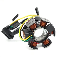 Stator Generator Magento For Aprilia RS50 MX50 RX50 Yamaha DT50R TZR50