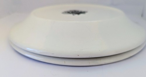2 Vtg Portmeirion Plates African Daisy Botanic Garden x2 Dinner Plate 1972 VGC ! - Bild 20 von 21