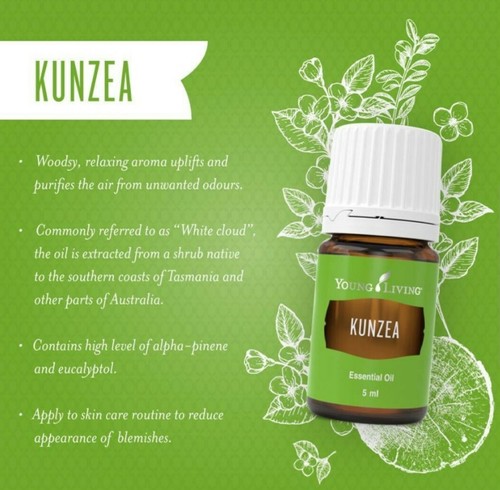 Kunzea Young Living Olio Essenziale (5ml) - Foto 2 di 5