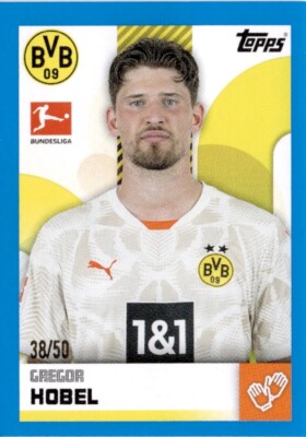 TOPPS « BUNDESLIGA OFFIZIELLE STICKER 2021/2022 » : fiche signalétique