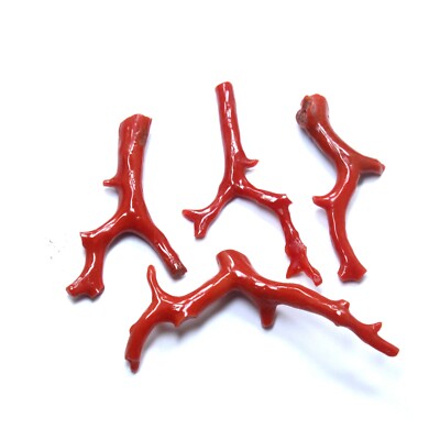50.Ct Natural Italian Red Coral Stick Polished making jewellery 4pc coral branch