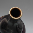 Picture 9 of 9