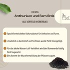 Bild 5 von 6