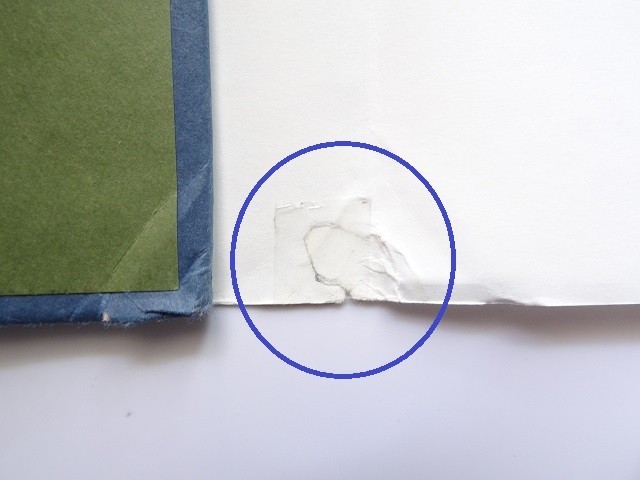 Picture 10 of 10