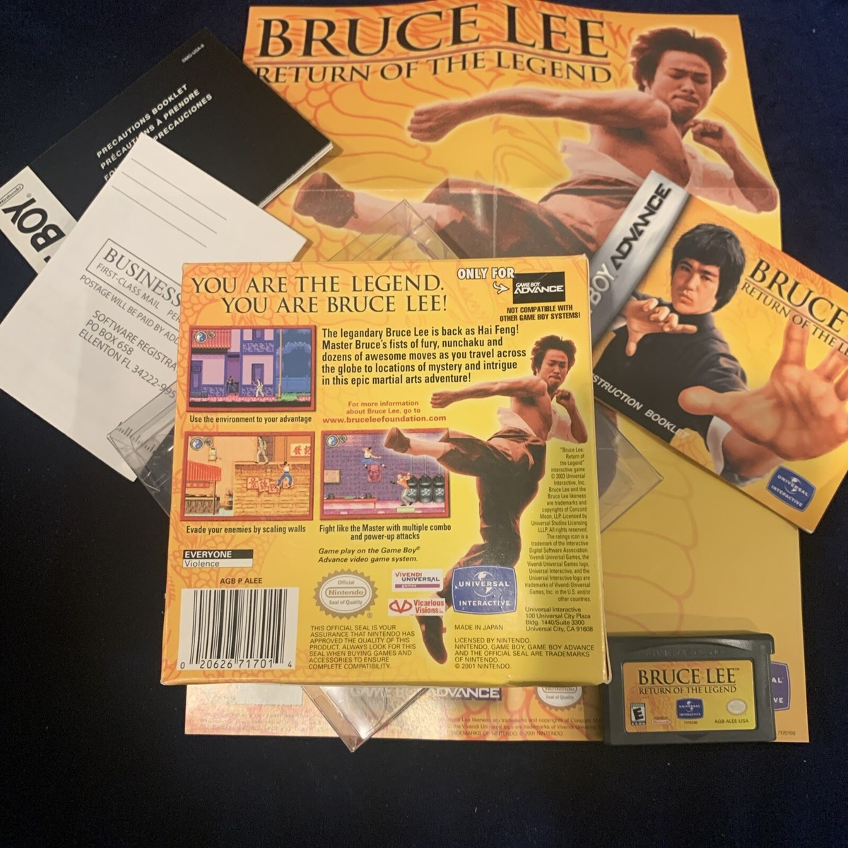 Bruce Lee: Return of the Legend (Nintendo Game Boy Advance