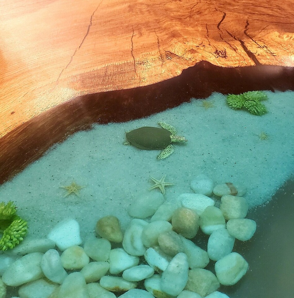 blue Epoxy Ocean Tables. Shells Plants,starfish and sharks. Dining ...