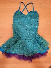 Figure Skating/Dancing Dress,Size Child Large,Blue And Purple, Halloween