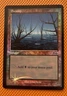 Swamp (1999) Arena Promos Foil