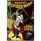 Amazing Spider-Man #76 Marvel Comics F 6.0