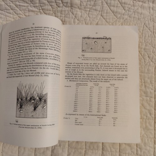 Seltene 1960 Mikroarthropoden aus dänischen Böden Ökologie Phänologie Entomologie - Bild 10 von 24