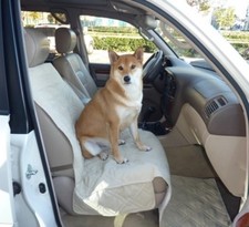 Deluxe Quilted and Padded Car Passenger Seat Cover for Pets or Kids in Taupe