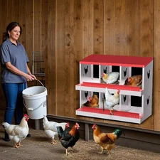 6/8-Holes Chicken Nesting Boxes Outdoor Metal Easy Laying Rollout Egg Collection
