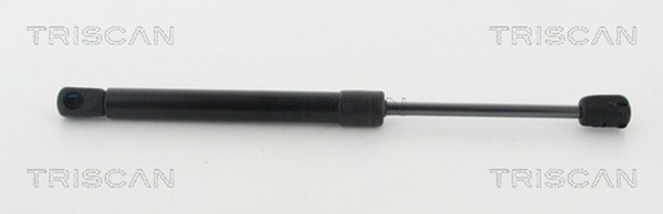 Gasfeder Motorhaube Triscan 8710 11133 FüR BMW 5Er F10 Touring F11 6Er F13 F12-image