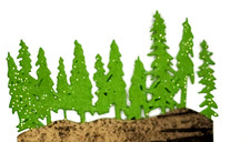 Forest Trees #9 Woods Camp Hiking Christmas Pine Fir Metal Dies Thin 11 Trees