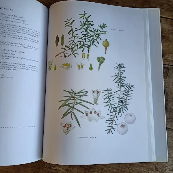 The Endemic Flora of Tasmania Part VI by Winifred Curtis with Margaret Stones - image 3 of 4