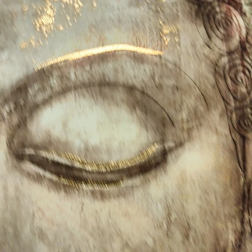 Arte de pared de Buda lienzo pintura bronce cabeza de Guatama imágenes cabeza meditación... Foto 4 de 4