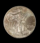 1996 1 oz Silver American Eagle