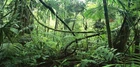 Jungle Action Figure Diorama Backdrop For Dinosaurs, Predator, GI Joe Toys #2