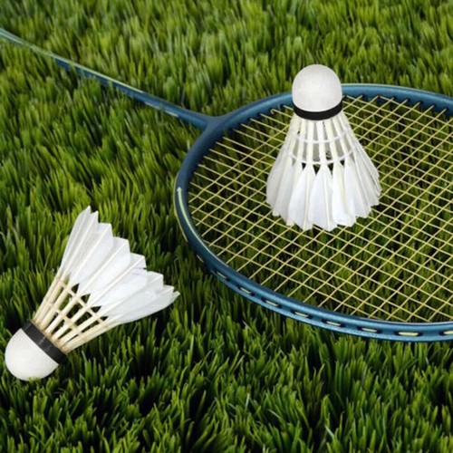 12Pcs Training Goose Feather Shuttlecocks Birdies Badminton Balls Outdoor Sports - Picture 12 of 15