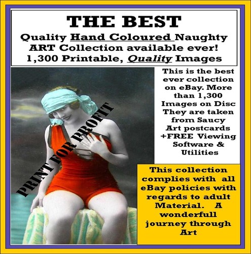 1300 Coloured Erotic Risque Vintage French Postcards CD / DVD Disc Art Glamour - Afbeelding 1 van 1